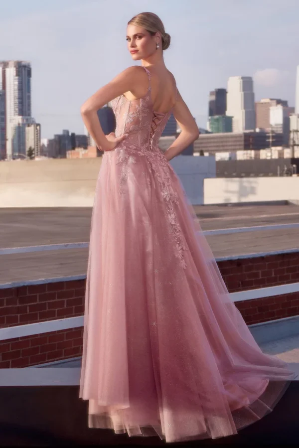 Muave Prom Dress up back