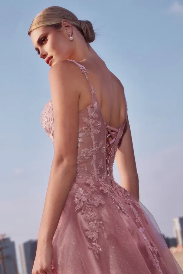 Muave Prom Dress up back up close