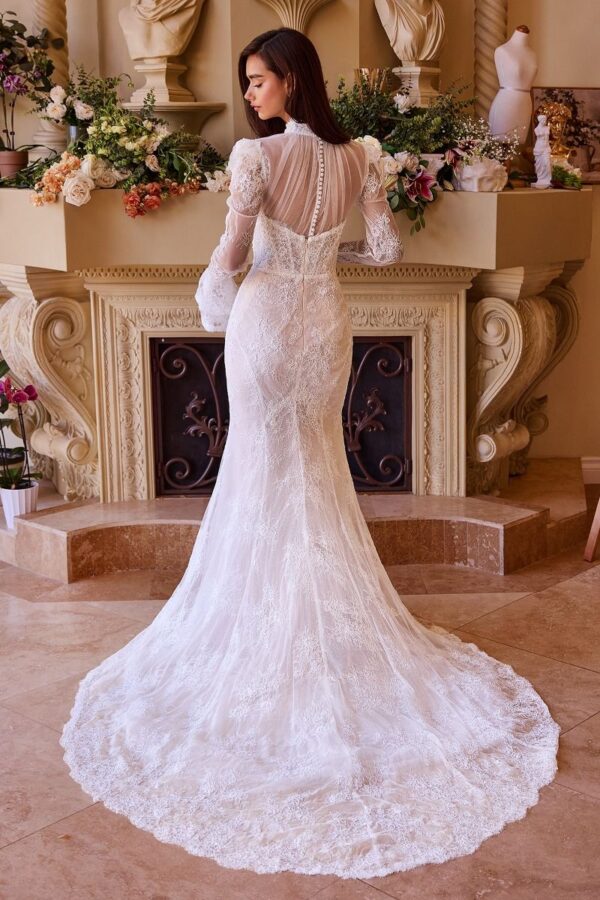 Aurora Elegance-back