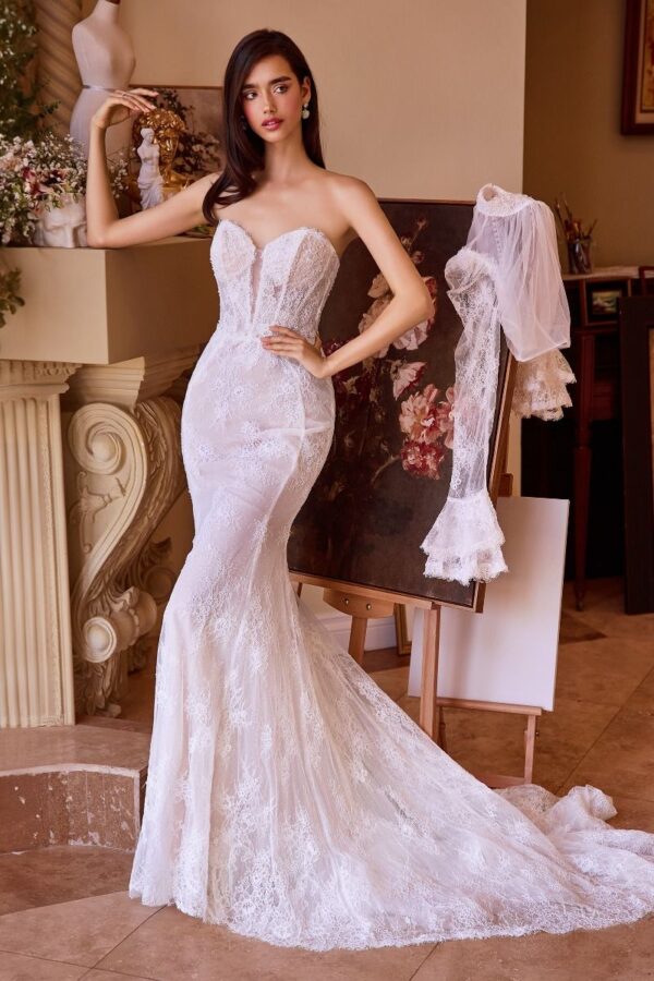 Aurora Elegance-front-2