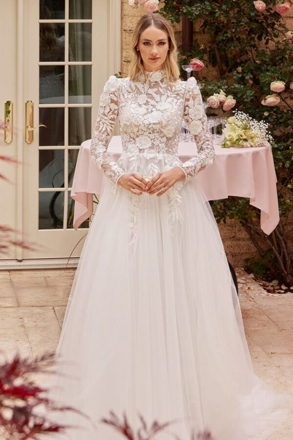 Royal Enchantment Wedding Dress
