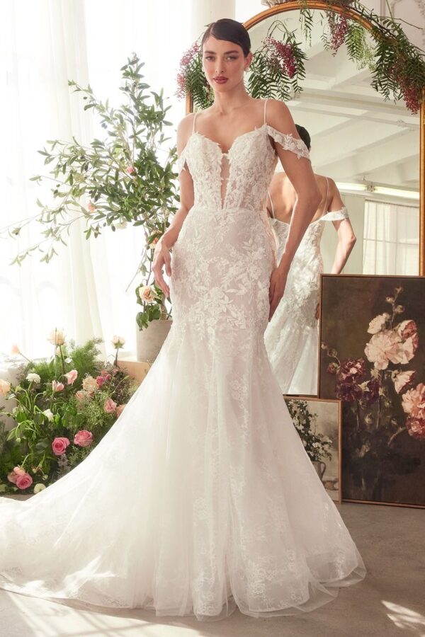 Timeless Romance Wedding Dress